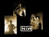 RIAA would milk even themselves, let alone all NIN fans