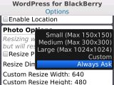 WordPress 1.5 for BlackBerry screenshot