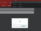 Ferrari's online store contains an XSS vulnerability