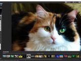Use developer tools for fine-tuning photos in ACDSee Ultimate