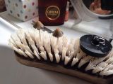 Mushrooms on a scrubbing brush