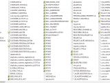 Partial content of the /Backup folder