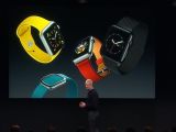 Apple Watch Spring Lineup