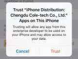 From the untrusted certificate app list, click on the app you want to "trust"