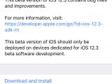 iOS 12.3 beta 5