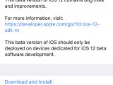 iOS 12 beta 10
