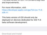 iOS 11.4 beta 6