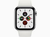 Apple Watch Series 5 with new Meridian face