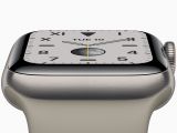 Apple Watch Series 5 with titanium case
