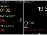 Statistics provided by the Apple Watch after a workout session