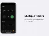 Multiple timers