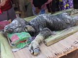 Locals say the creature has the head of a crocodile
