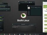 Bodhi 4.0.0 is based on Ubuntu 16.04.1 LTS