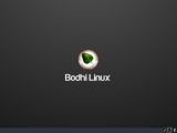 Bodhi Linux 4.1.0 released