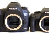 Canon EOS 100D vs 5D Mark III