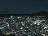 Cities: Skylines - After Dark night action