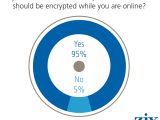 Should encryption be used to secure data while online?