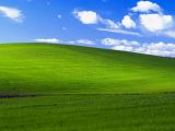 This is Bliss, the famous Windows XP wallpaper