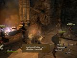 Full party in Dragon's Dogma