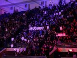 The crowd during a match at Dreamhack Bucharest 2015