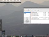 ExLight Linux uses Synaptic Package Manager