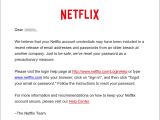 Netflix password reset email