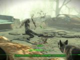 Fallout 4 dog action