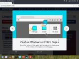 Capture windows or entire pages