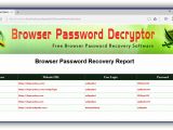 You have created a report with all saved browser passwords using Browser Password Decryptor