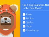Costumes in which dogs hated being in for the Halloween weekend