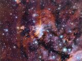 Young stars in the Prawn Nebula