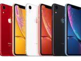 These are the colors of the current iPhone XR lineup