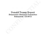 DNC Donald Trump report