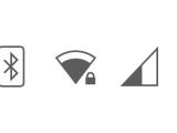 Indicators monochromatic icons