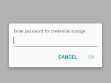 Enter password for credential storage