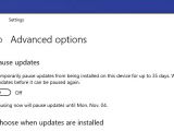 Windows Update options