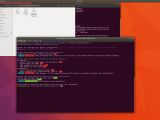 Check your Linux PC against Meltdown and Spectrek