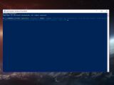 Running the command in PowerShell