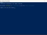 Running the cleaning command in PowerShell