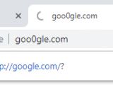 The lookalike URL warning in Chrome