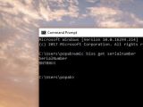 The serial number in Command Prompt