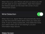 The Wrist Detection option in the Apple Watch companion app