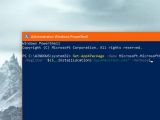 Running the command in PowerShell