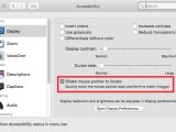 Disabling the mouse pointer zoom feature