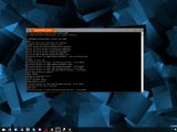 The list of installed apps in Command Prompt