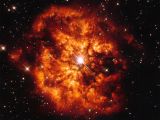 Wolf-Rayet star Hen 2-427 and surrounding nebula