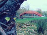 Out fishing: photo of a red bridge crossing over a cannal (edited with Camera+)