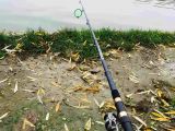Out fishing: closeup of the rod
