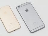 iPhone 6 Plus and iPhone 6 comparison