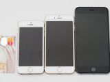 iPhone 6 Plus, iPhone 6 and iPhone 5s comparison (with a credit card for context)